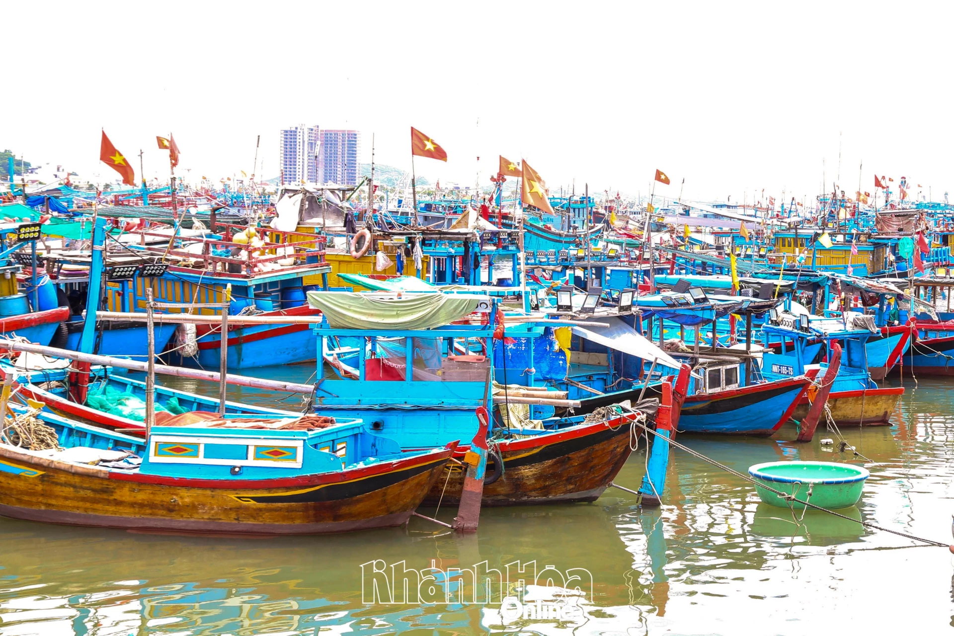 Tàu cá của ngư dân neo đậu tại cảng cá Hòn Rớ.