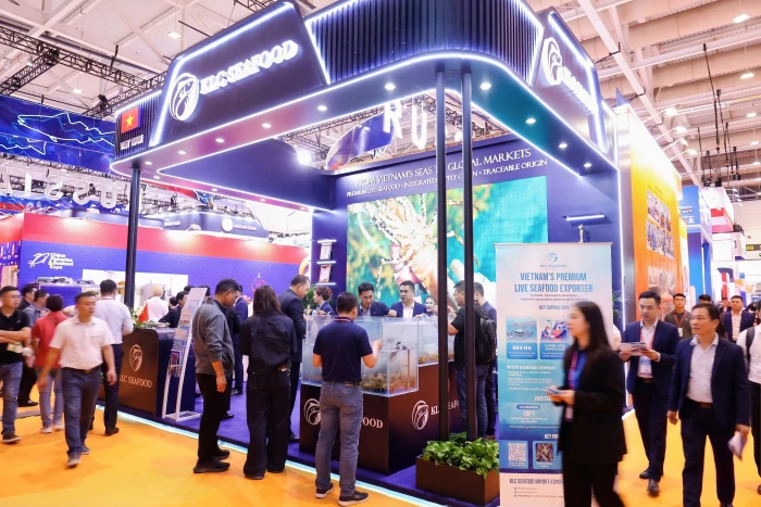 KLC Seafood tăng tốc chiến lược tại thị trường Trung Quốc với tôm hùm xanh Việt Nam