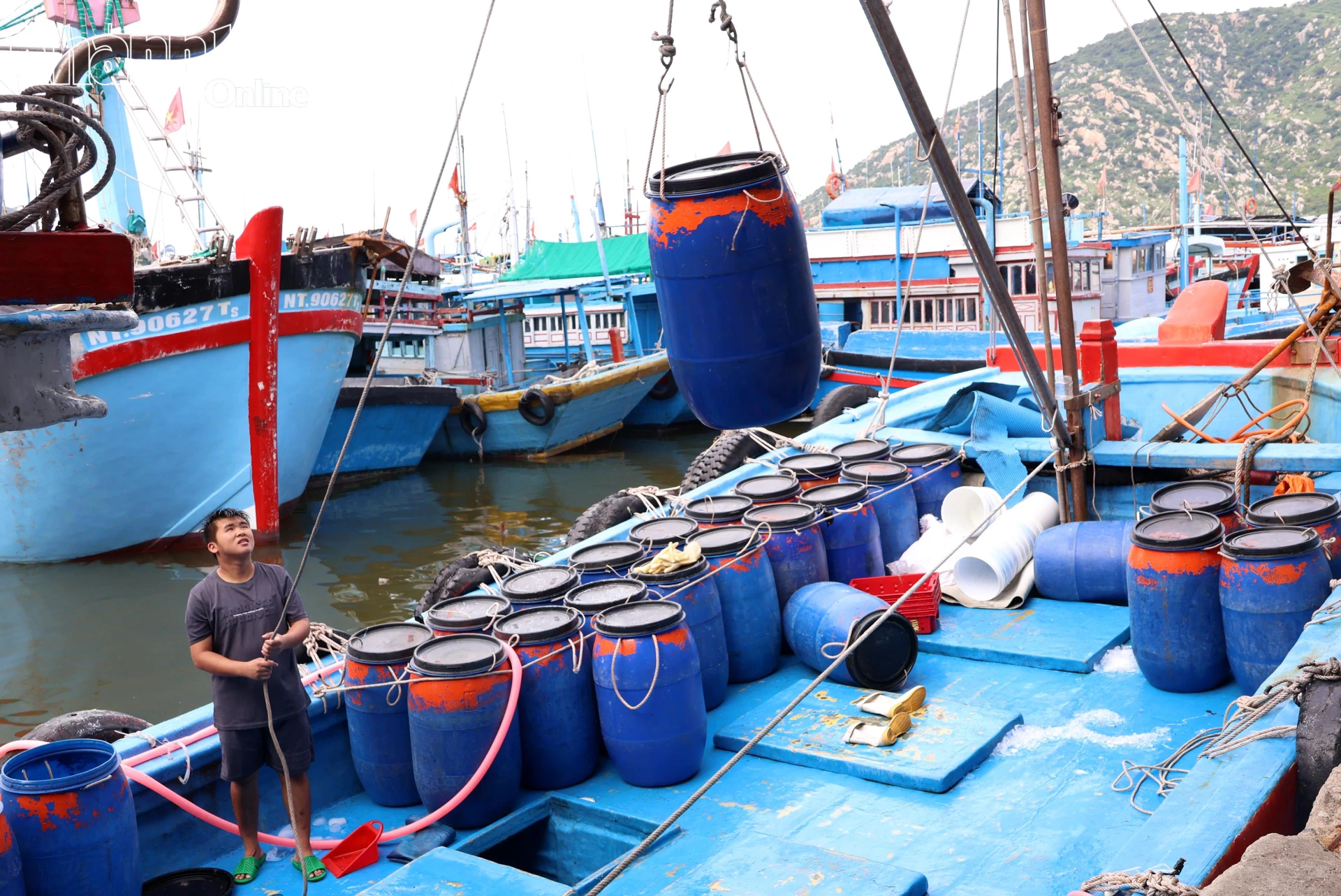 Những thùng cá được đưa lên xe tải đông lạnh.