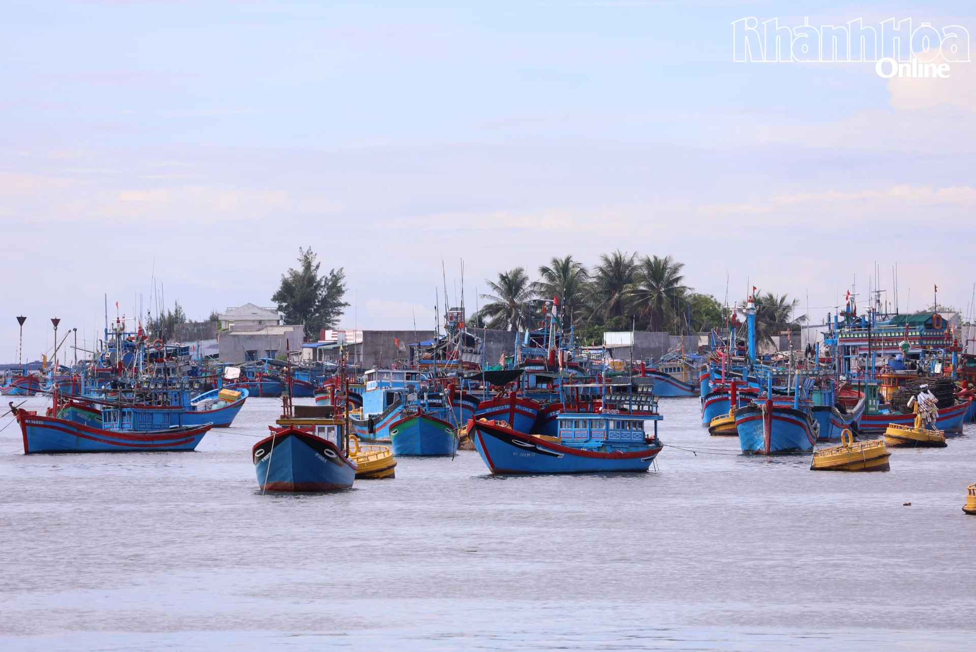 Những con tàu có công suất nhỏ neo đậu tại Cảng Cà Ná.