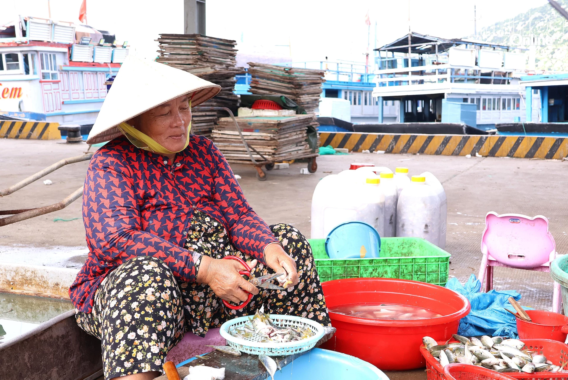 Bà Nguyễn Thị Nở làm cá tại khu vực cảng.