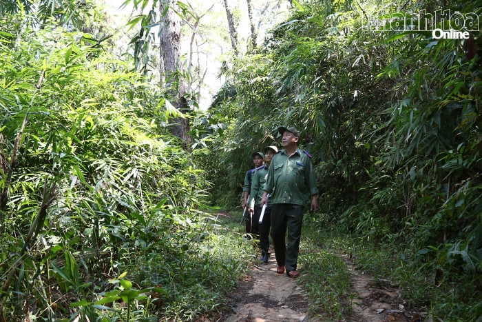 Nỗ lực giữ rừng