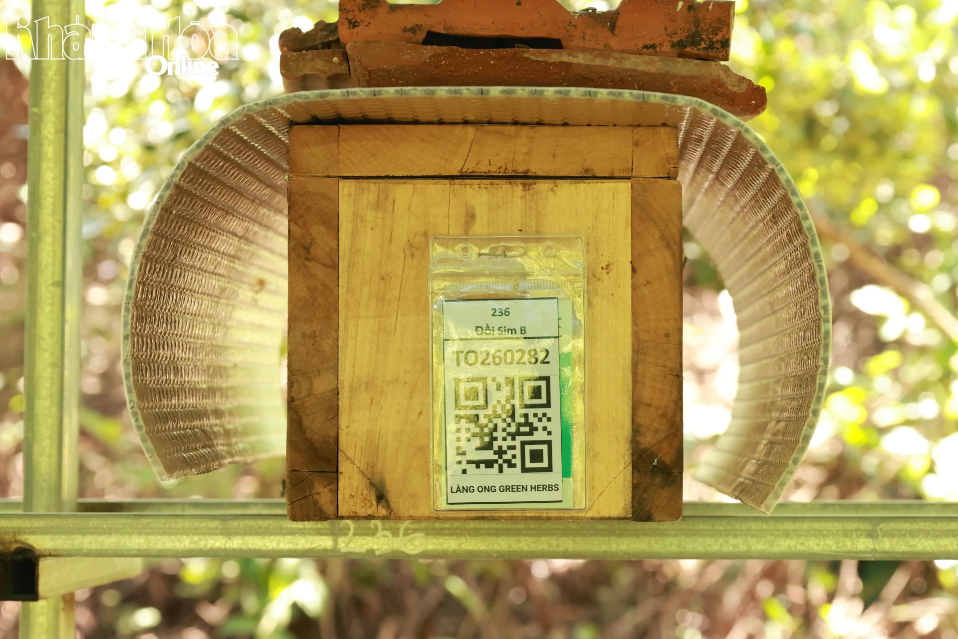 Tổ ong dú được gắn mã QR để truy xuất nguồn gốc xuất xứ.