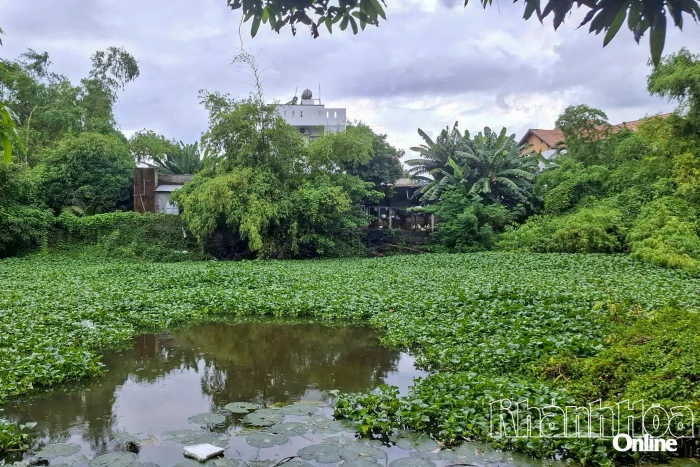 Cần sớm đầu tư hoàn thiện kè sông Tô Giang