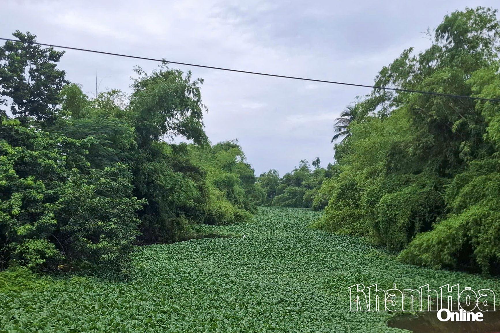 Khu vực đề xuất đầu tư xây dựng kè.