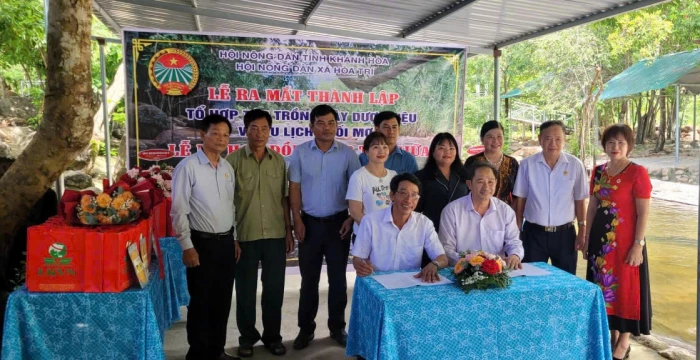 Xã Hòa Trí ra mắt Tổ hợp tác trồng cây dược liệu và du lịch Suối Mơ