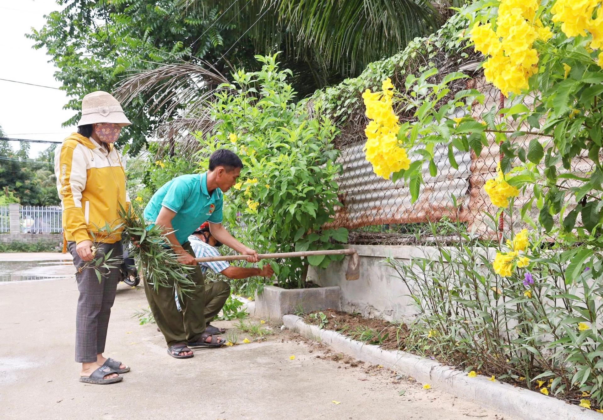 Các thành viên câu lạc bộ ra quân thu gom rác thải, vệ sinh đường liên thôn, ngõ hẻm.