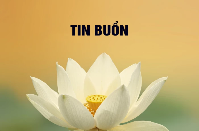 Tin buồn