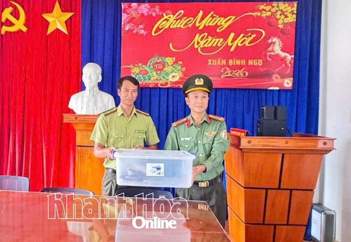Công an cửa khẩu Cảng hàng không quốc tế Cam Ranh bàn giao cá thể trăn gấm cho Hạt Kiểm lâm Cam Lâm tái thả về môi trường tự nhiên.