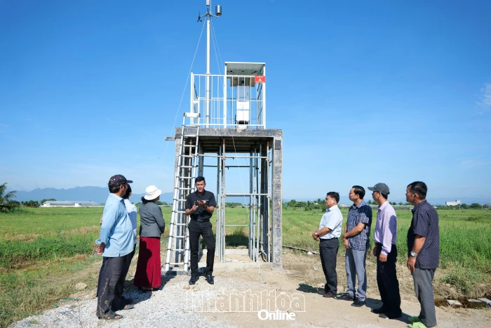 Thí điểm sử dụng thiết bị giám sát côn trùng thông minh trên lúa, nho, táo tại xã Ninh Phước