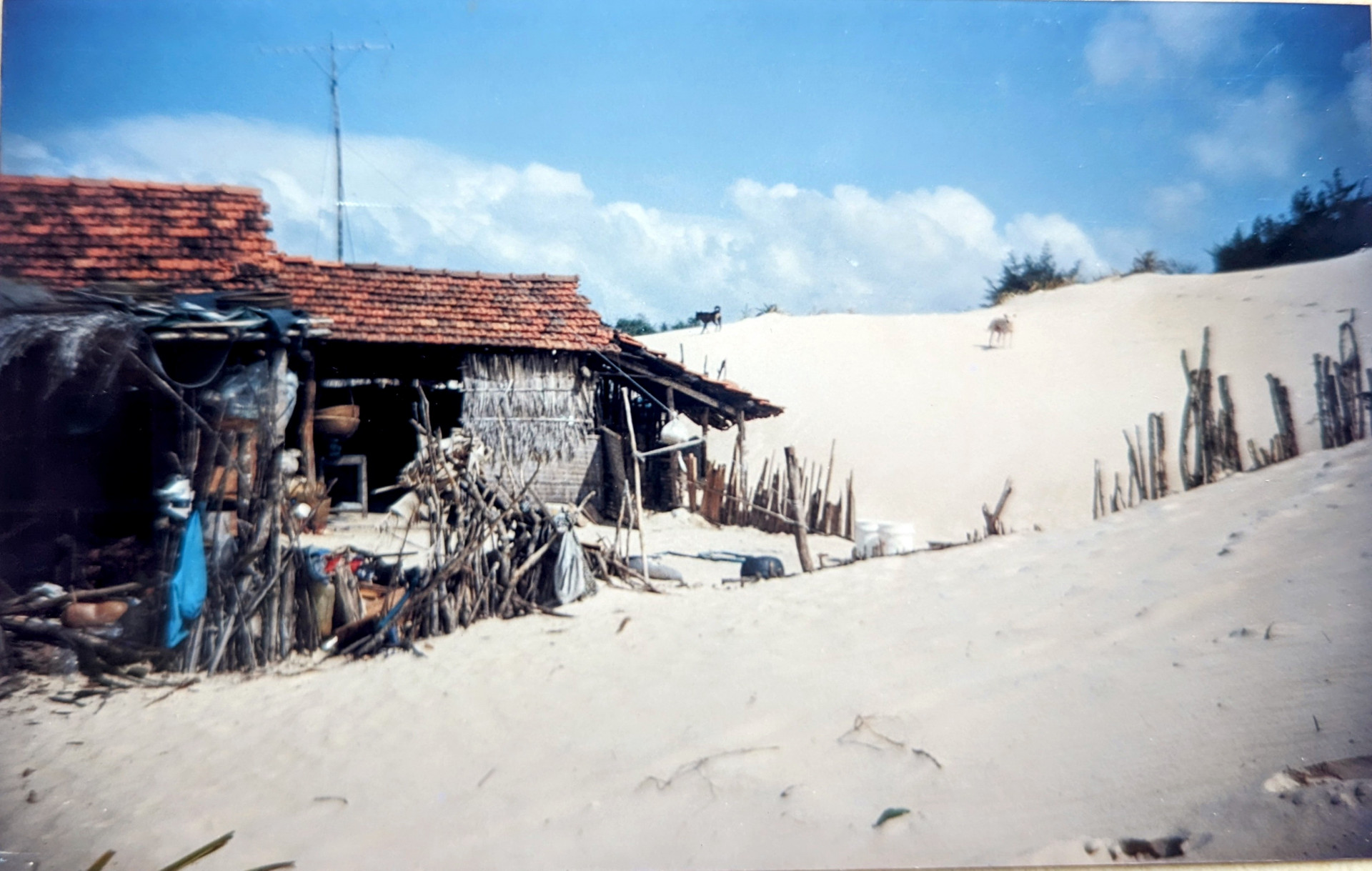 Những ngôi nhà chìm trong cát ở thôn Tuần Lễ. (Ảnh chụp năm 2001)