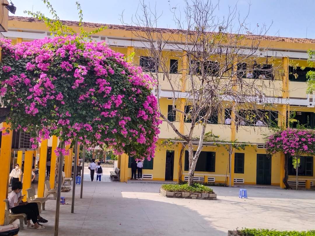 A corner of Tran Hung Dao High School (Cam Ranh City)
