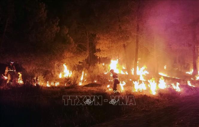 Hàng trăm người phải sơ tán do cháy rừng ở Tây Ban Nha