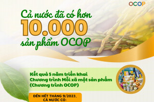 Cả nước đã có hơn 10 nghìn sản phẩm OCOP