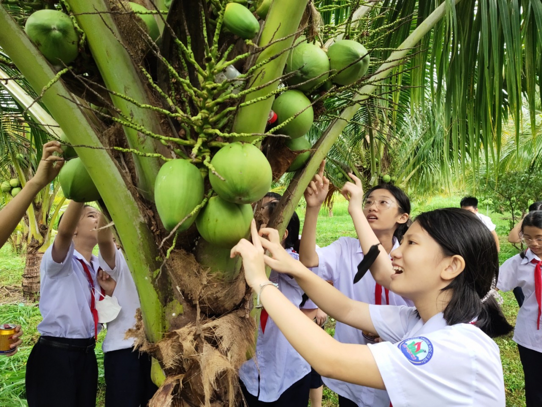 Pupils of Vo Van Ky Junior High School (Nha Trang City) visit organic coconut garden in Ninh Hoa Town
