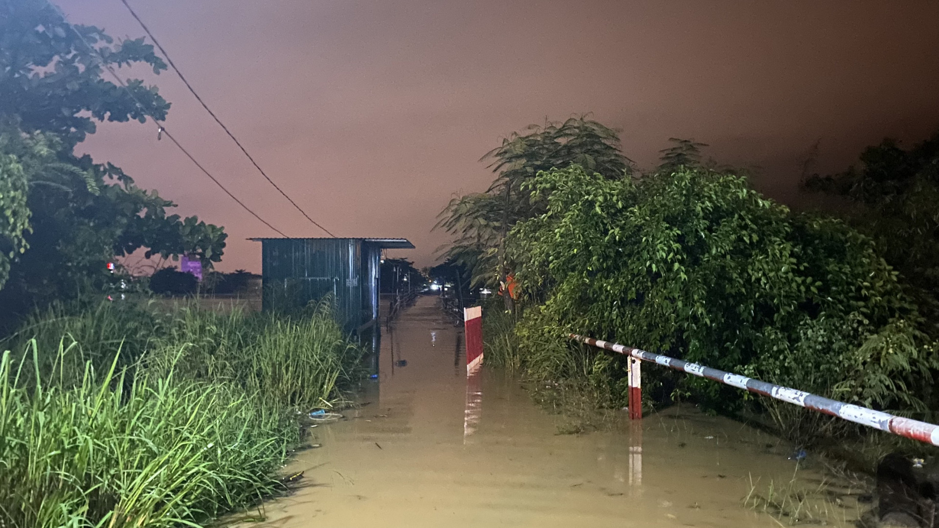 Nước đã ngập qua mặt cầu gỗ Phú Kiểng, xã Vĩnh Ngọc. 