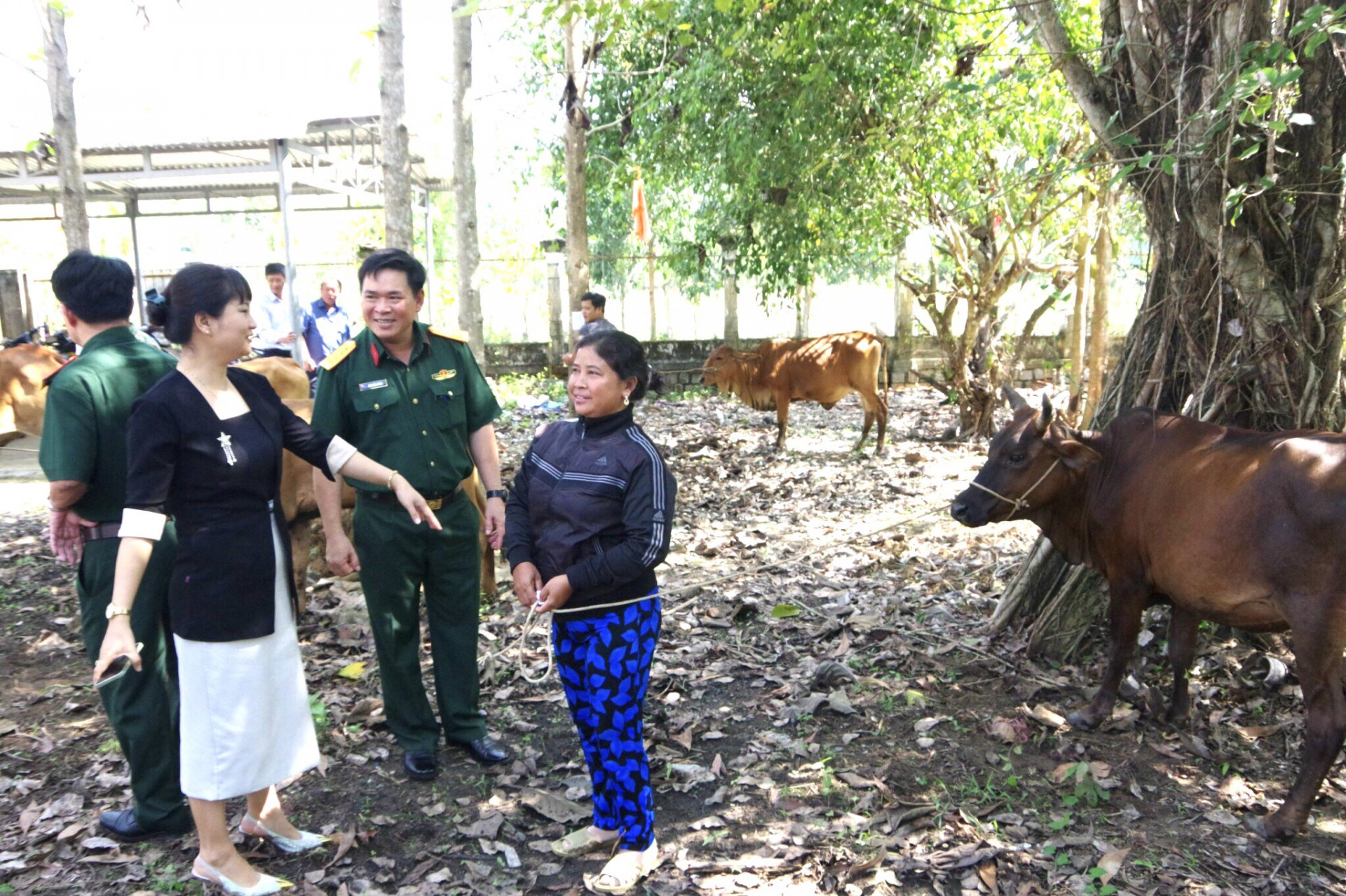 Đại diện nhóm giúp đỡ xã Khánh Phú trao bò giống sinh sản và trao đổi với người dân về cách chăm sóc (Ảnh do Bộ Chỉ huy Quân sự tỉnh cung cấp)