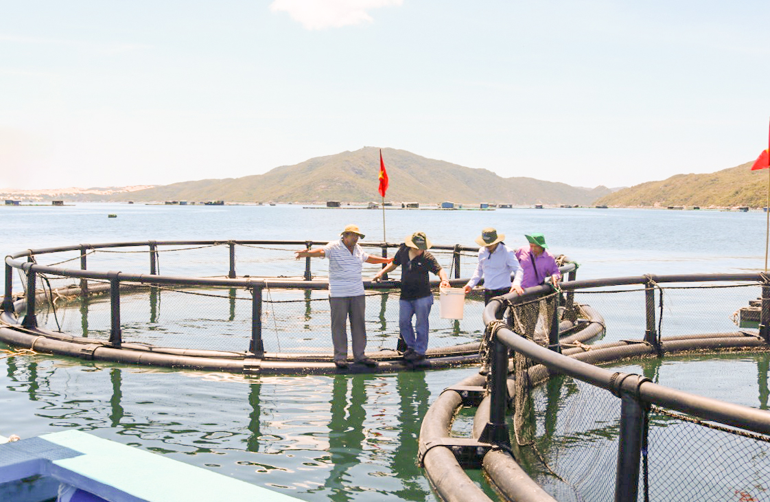 Nông dân Vạn Ninh nuôi cá chim trong lồng HDPE.