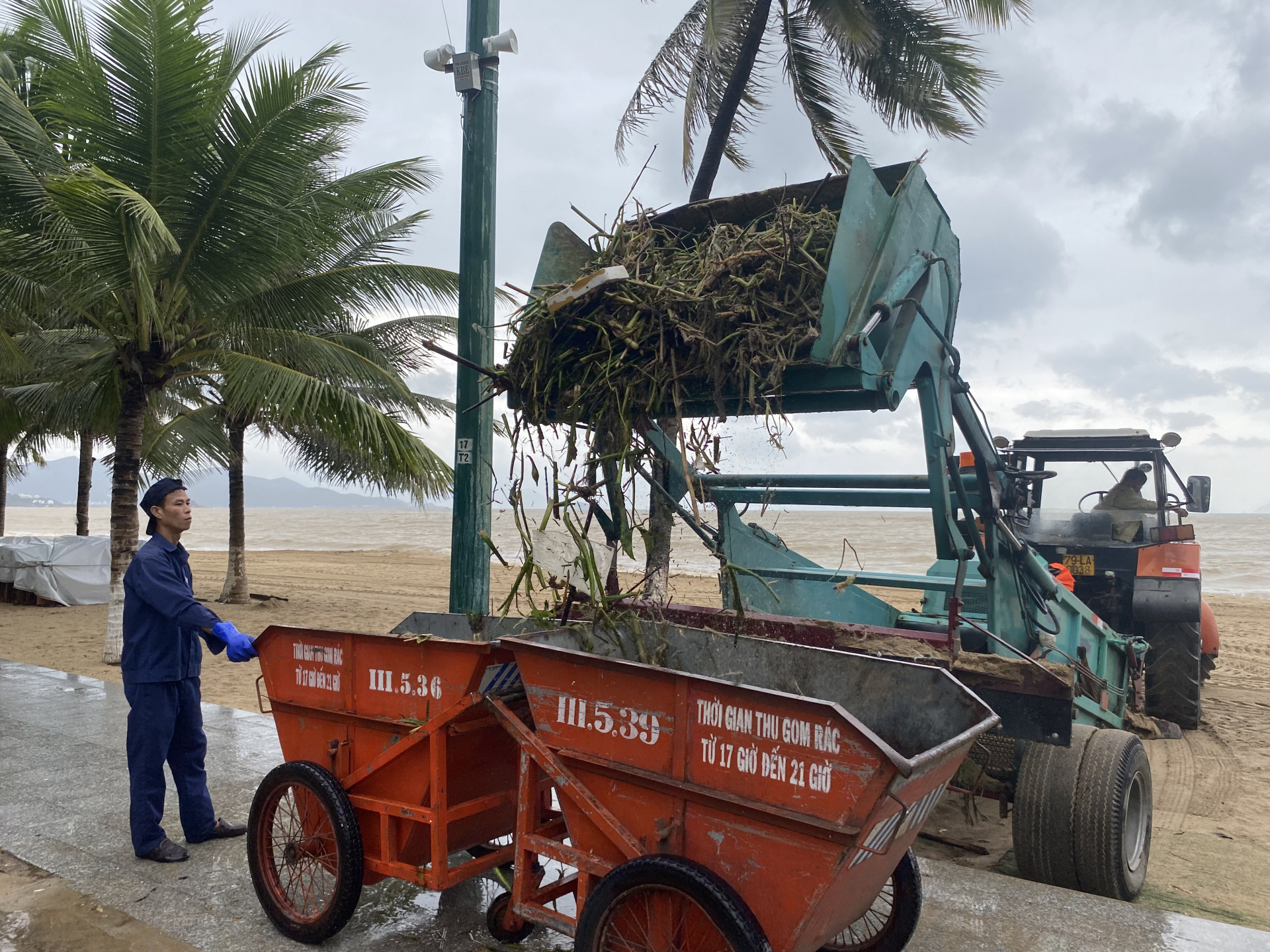 Rác thải được thu gom sẽ được vận chuyển đến bãi rác Lương Hòa xử lý theo quy trình. 