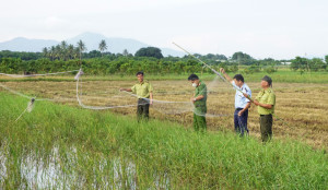 Bảo vệ đàn chim trời