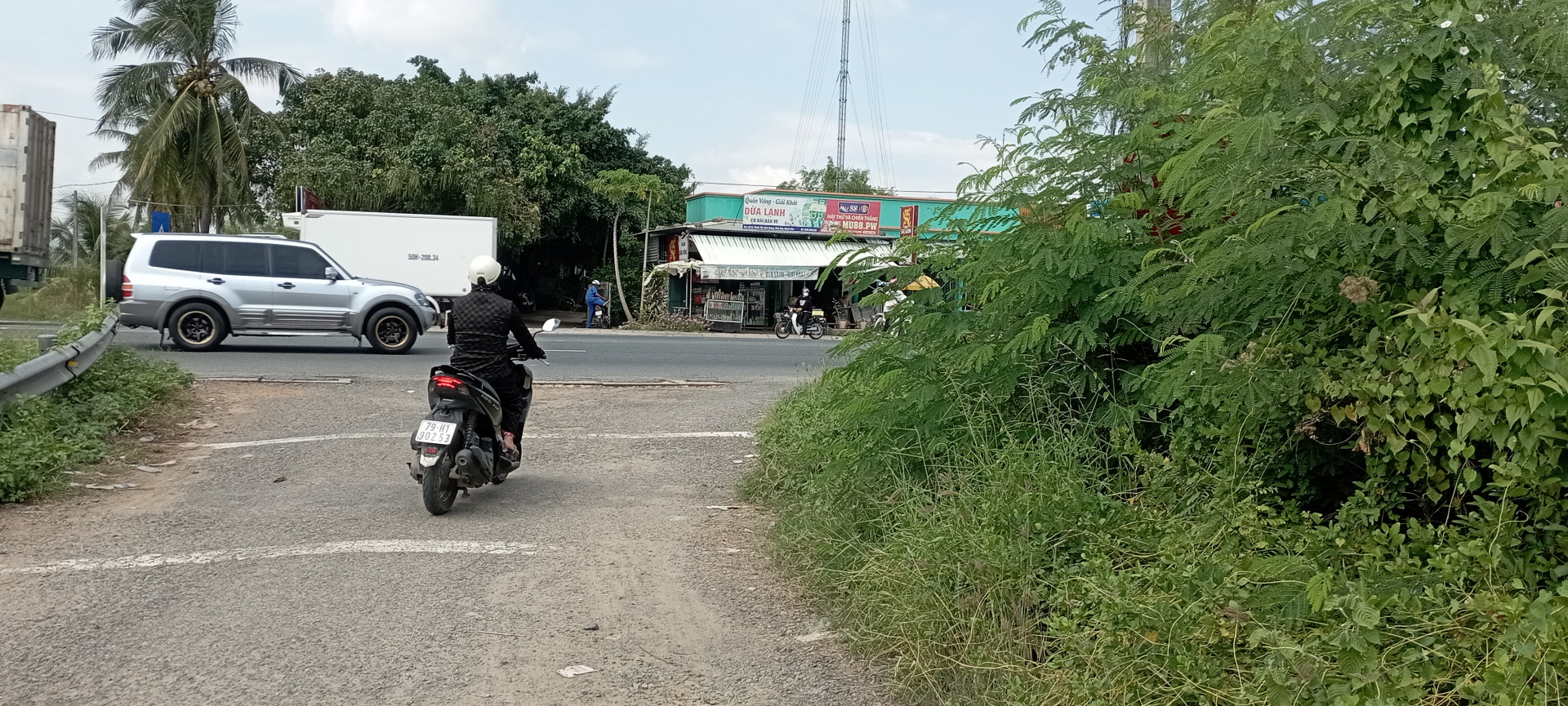 Biển báo giao thông bị cây xanh che khuất