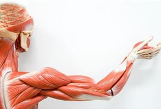 Đột phá mới cho kỷ nguyên của công nghệ cơ nhân tạo