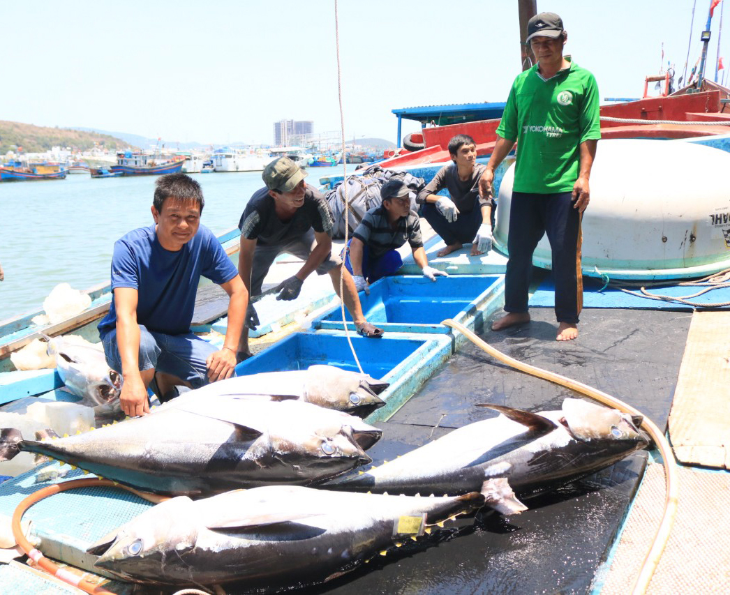 Sản lượng thủy sản đạt 106.890 tấn