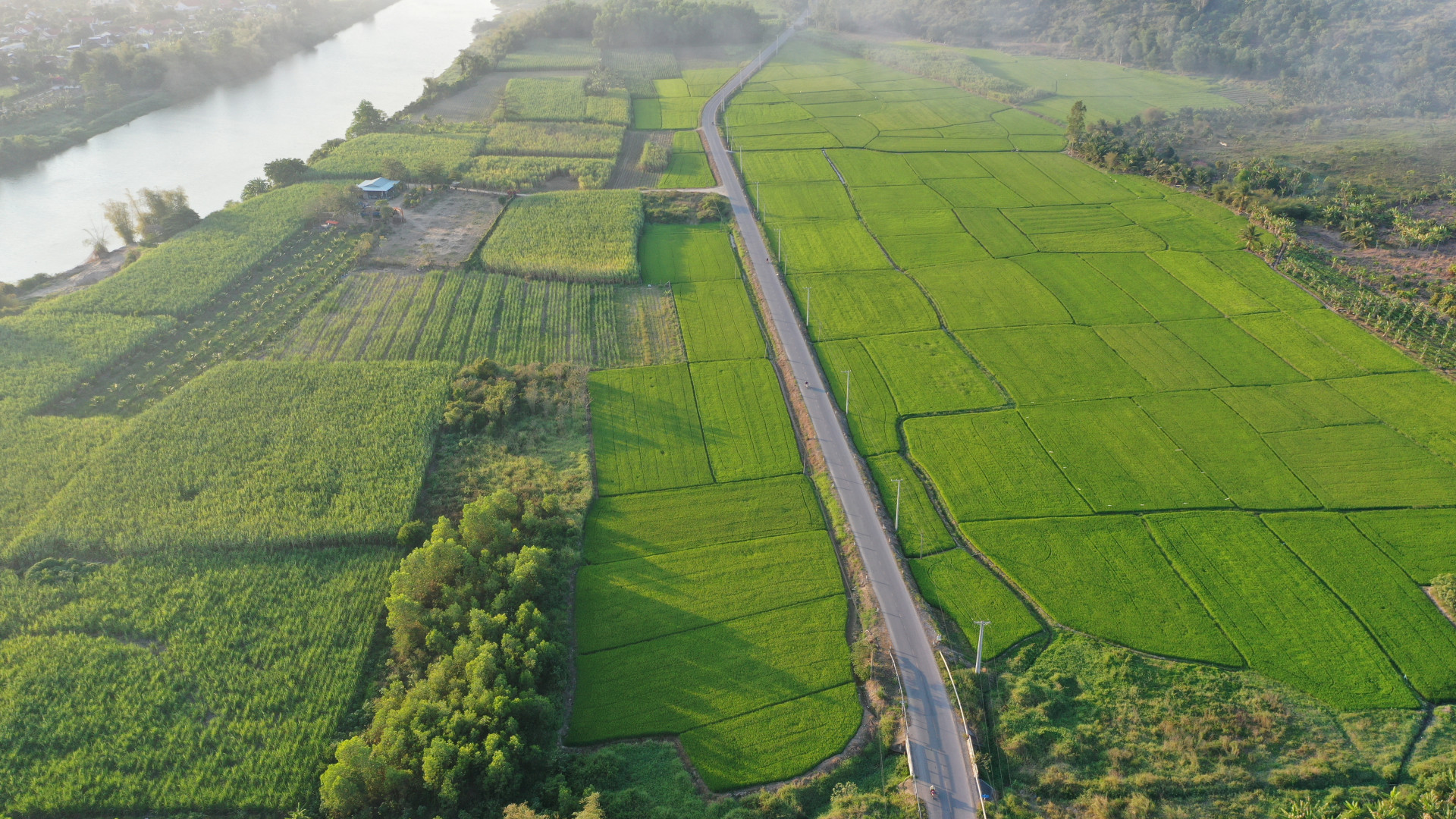 Một khu vực đất nông nghiệp ở huyện Diên Khánh.