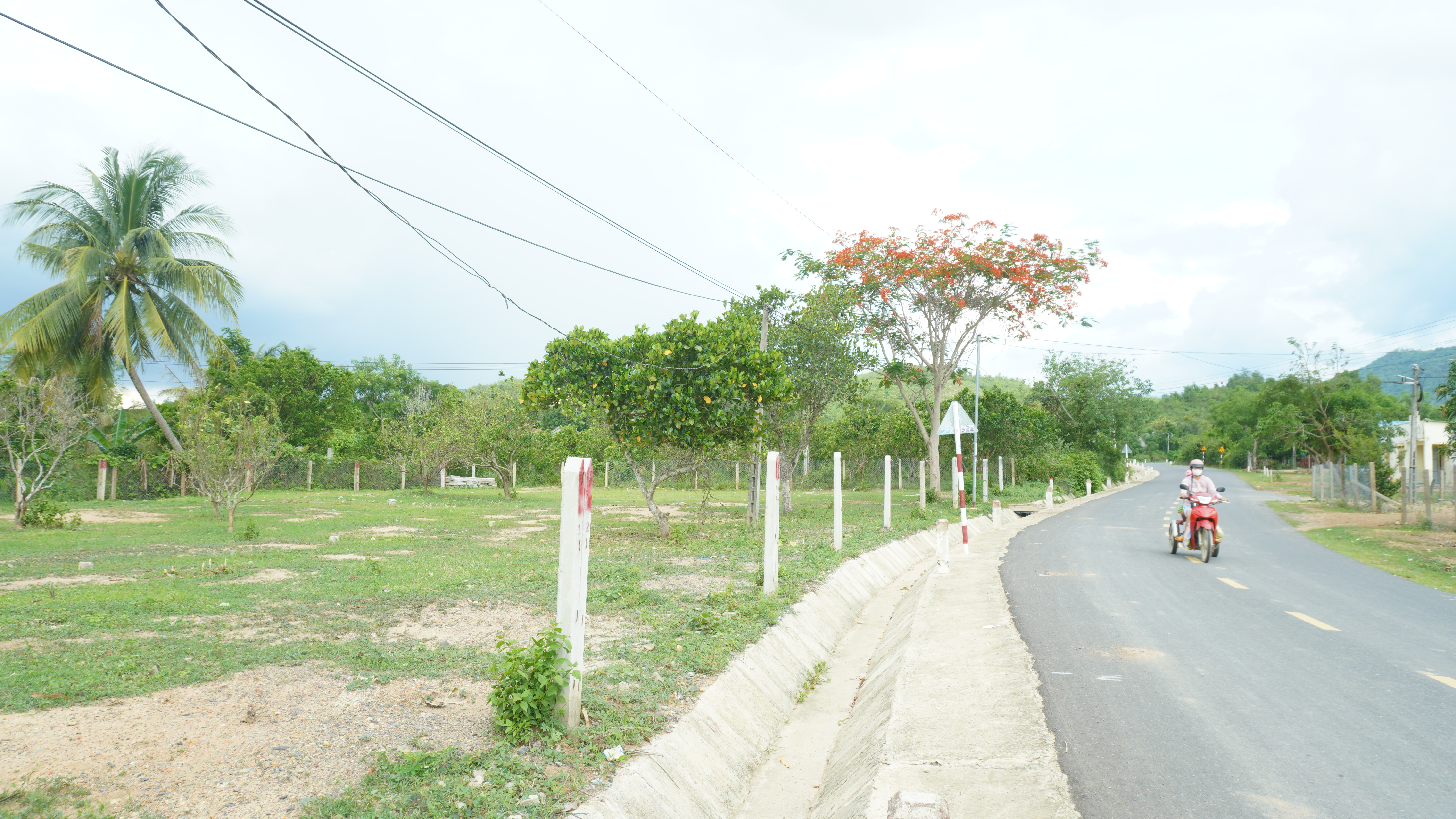 Quy định về hạn mức giao đất, công nhận quyền sử dụng đất trên địa bàn tỉnh 