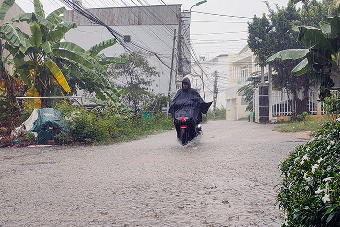 Kiên quyết sơ tán người dân tại những khu vực có nguy cơ ngập sâu, lũ quét, sạt lở đất