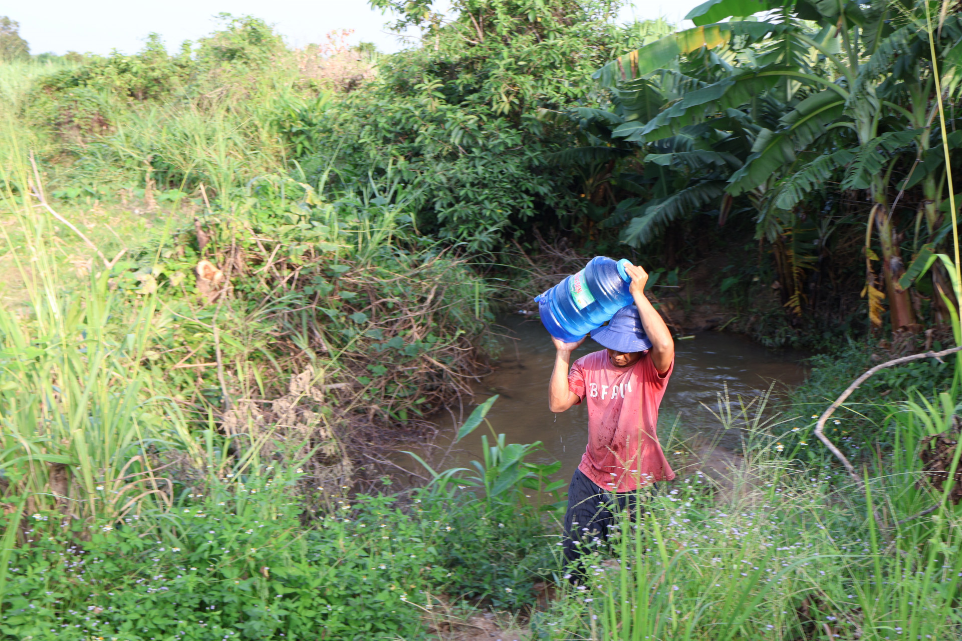 Người dân thôn Buôn Sim đi ra mạch nước ngầm ở cánh đồng cách thôn khoảng 1,5km để lấy nước sạch. 