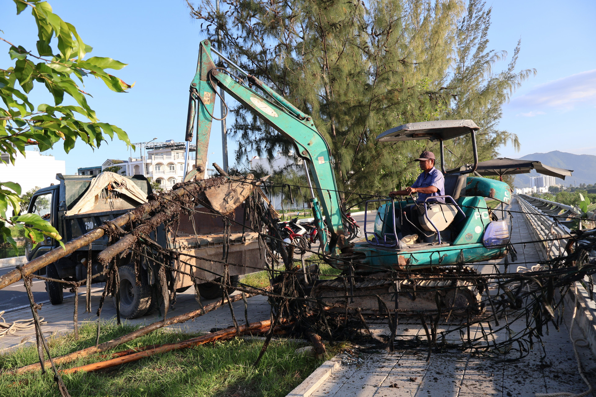 Các giàn gỗ, bẫy nhử vẹm trên sông Quán Trường được đưa lên xe tải đi xử lý theo quy định. 