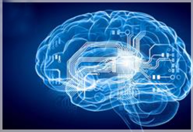 AI phát triển sẽ giúp hoàn thiện bản đồ bộ não người