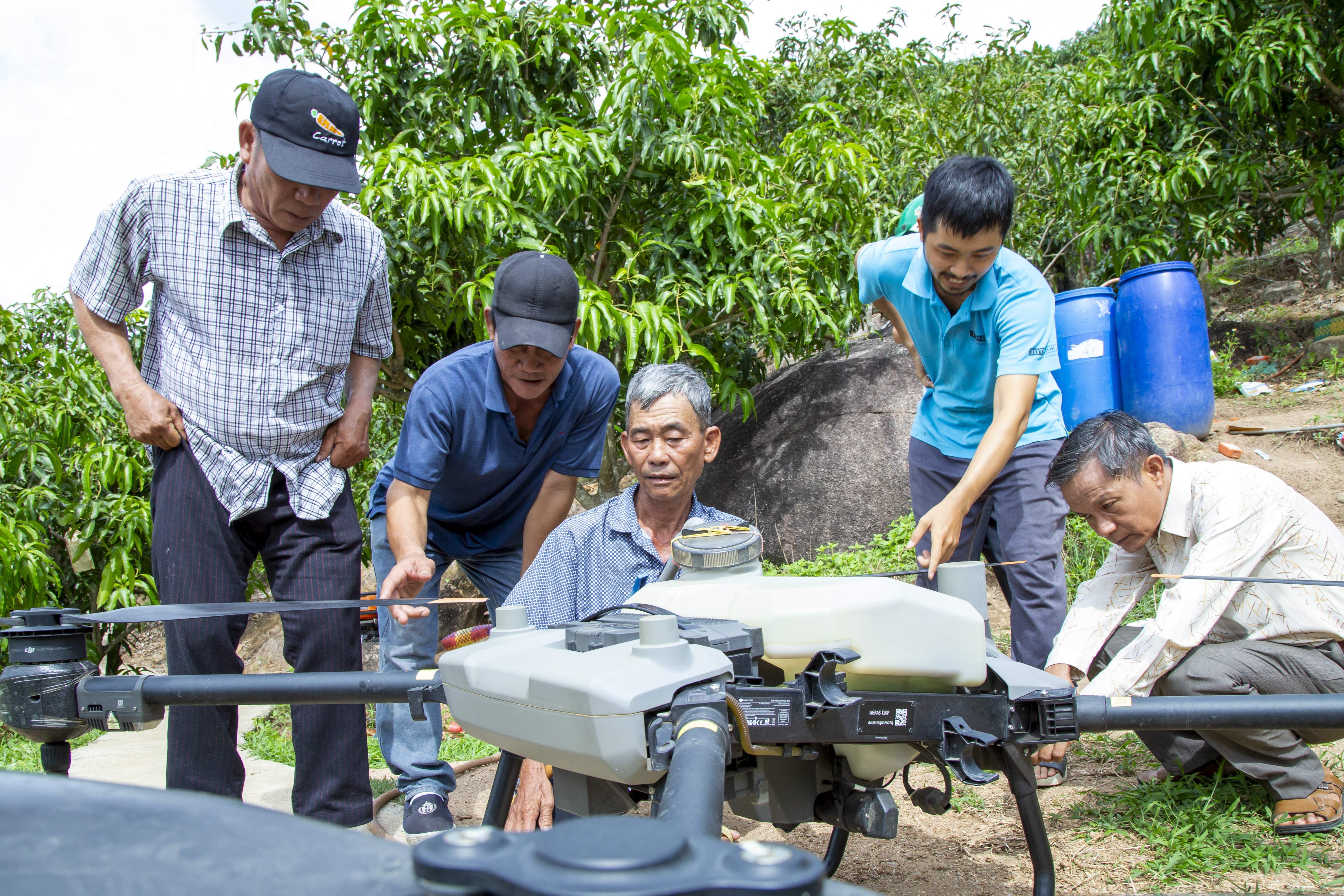  Những cánh bay chăm vườn