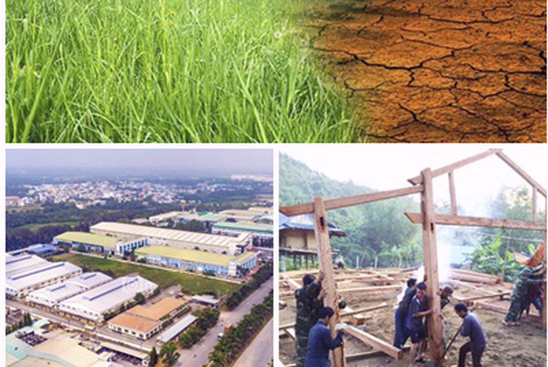 Chỉ đạo, điều hành của Chính phủ, Thủ tướng Chính phủ nổi bật tuần từ 16-22/11/2024