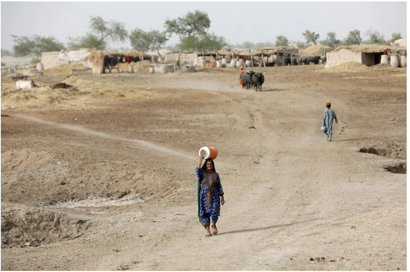 2024 đang trên đà trở thành năm nóng nhất trong lịch sử