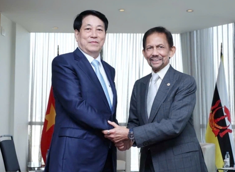 Chủ tịch nước Lương Cường hội kiến Quốc vương Brunei