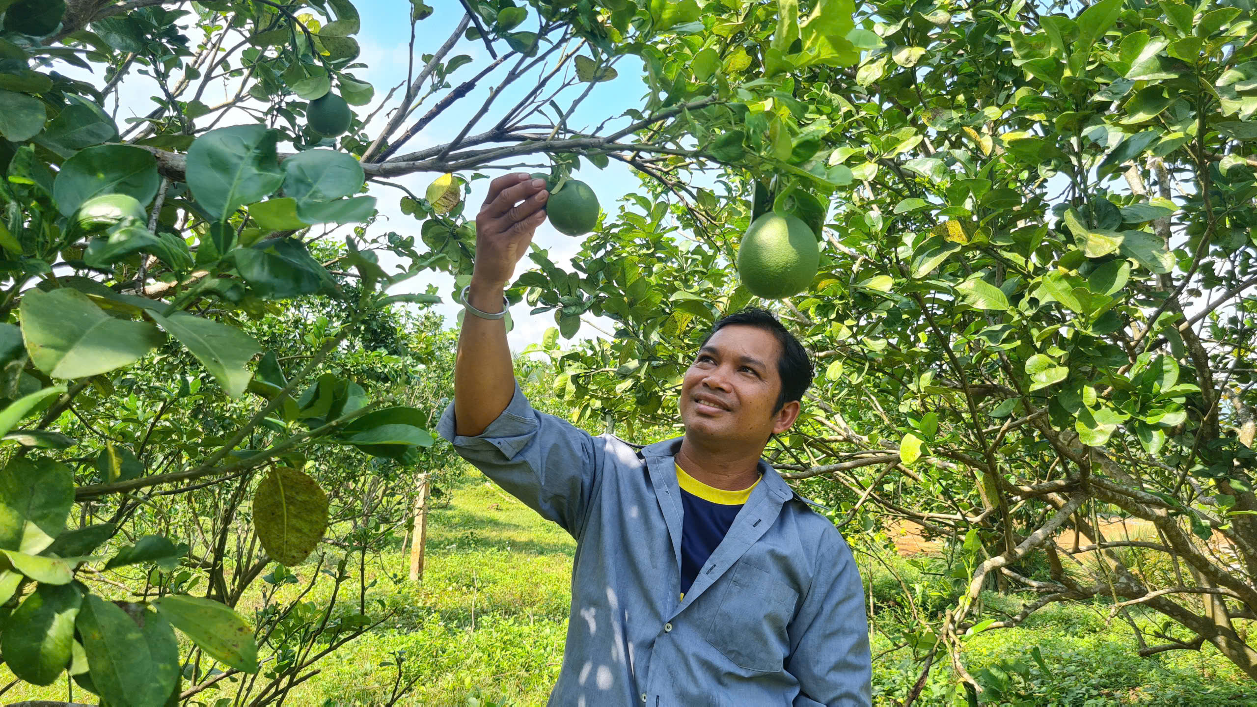 Nhóm các cơ quan, đơn vị giúp đỡ xã Khánh Phú: Tích cực giúp dân giảm nghèo, xây dựng nông thôn mới