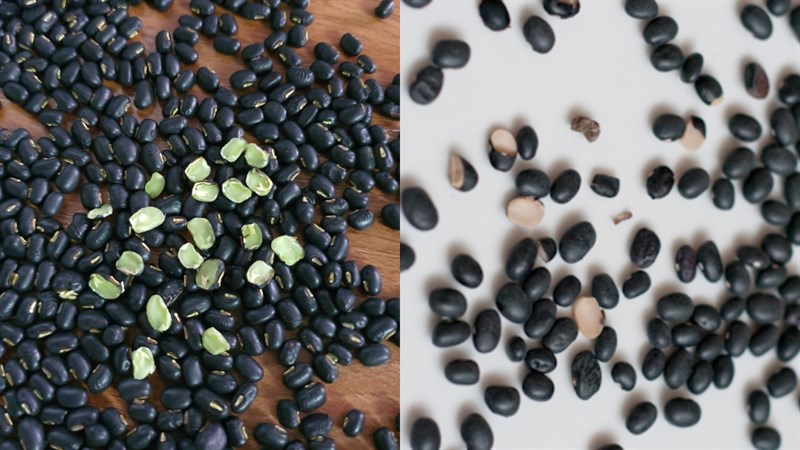 Uống nước đậu đen xanh lòng có tác dụng gì?