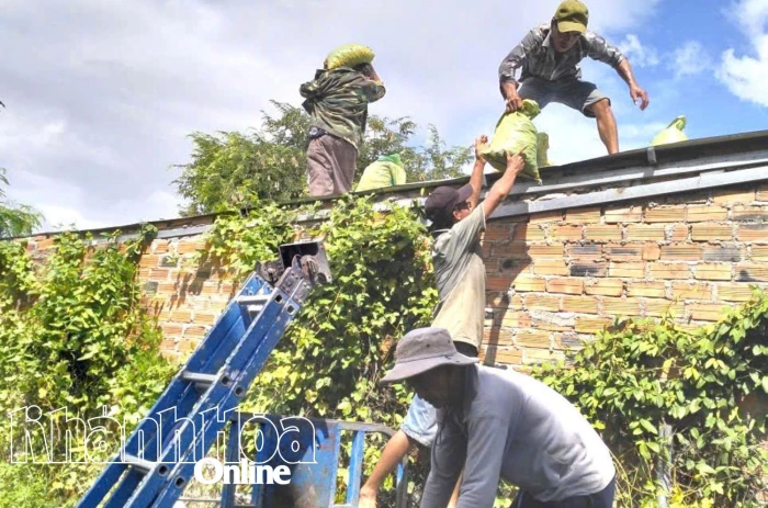 Xã Hòa Trí chủ động ứng khó với bão số 13