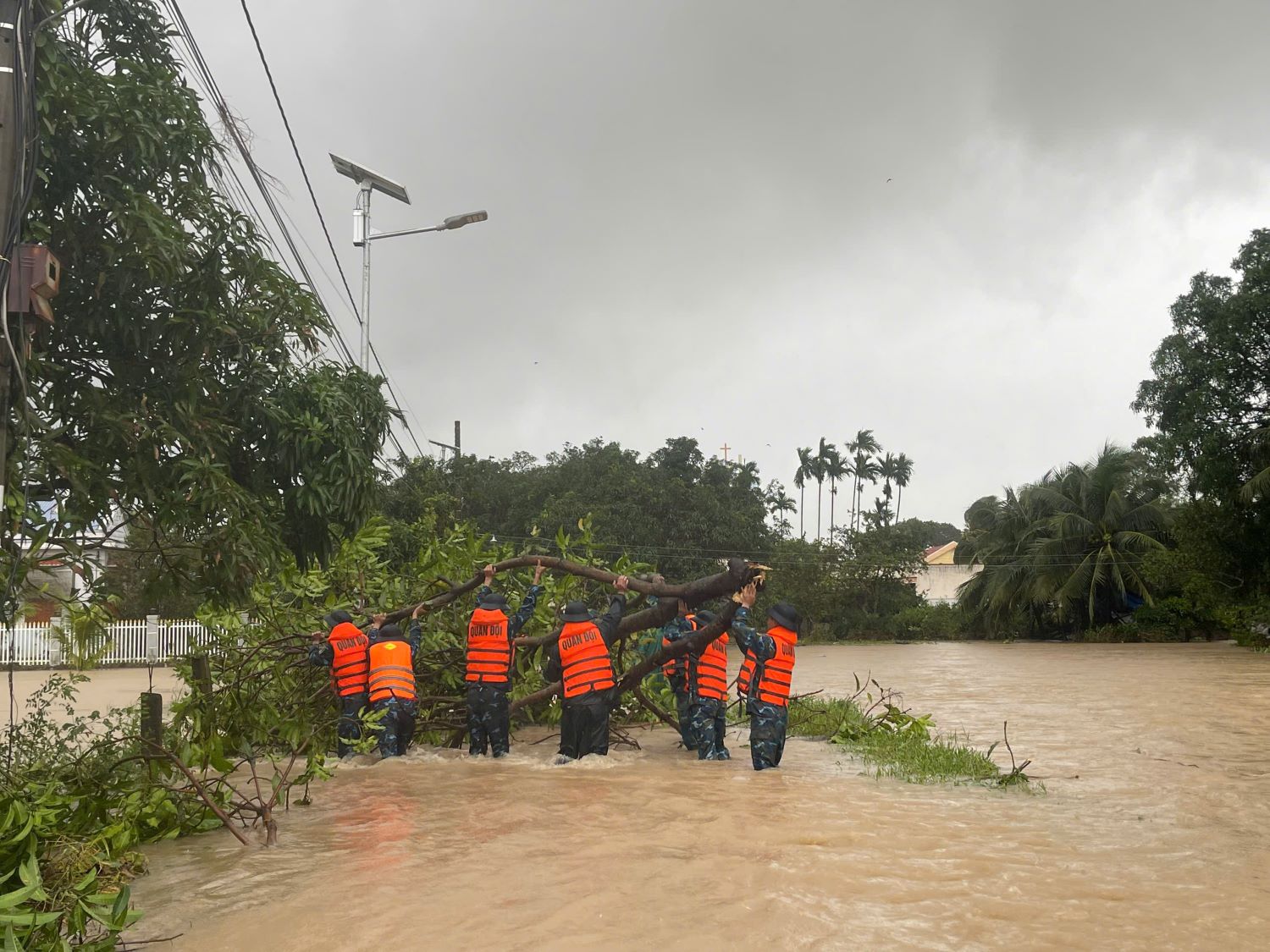 Cán bộ, chiến sĩ trung đoàn khắc phục cây ngã đổ tại phường Ba Ngòi.