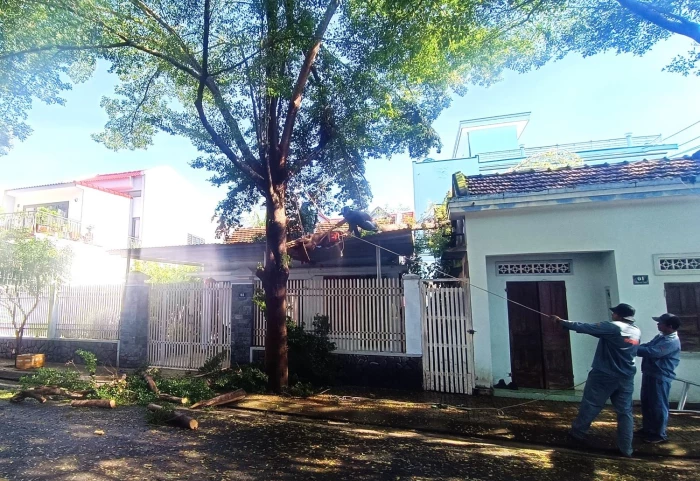 Xã Vạn Ninh: Hơn 180ha lúa bị ngập do mưa