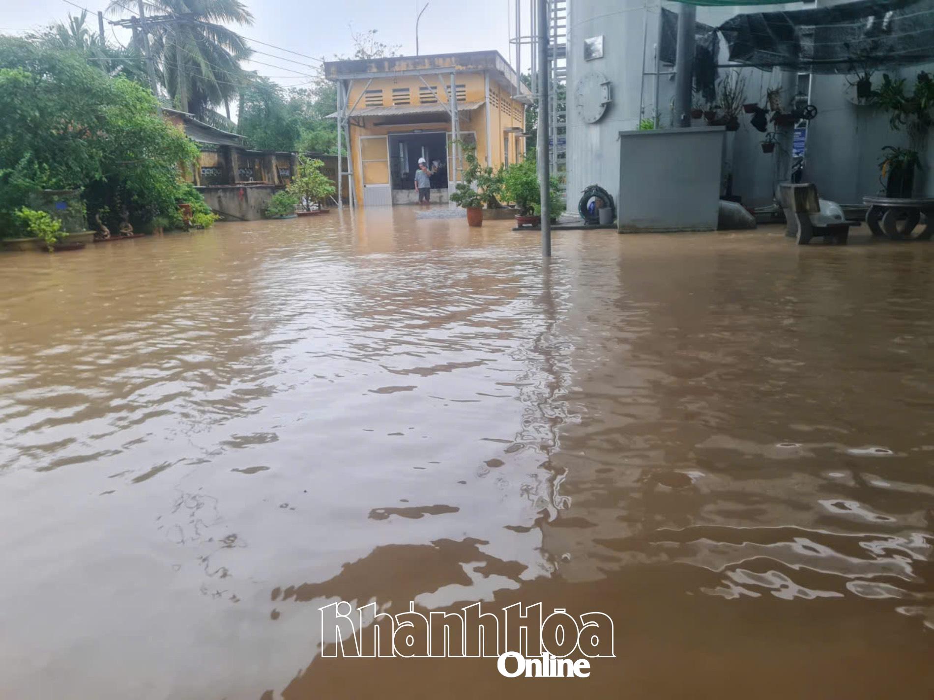 Khu vực Trạm cấp nước Ninh Đông, phường Ninh Hòa bị ngập ngày 19-11.
