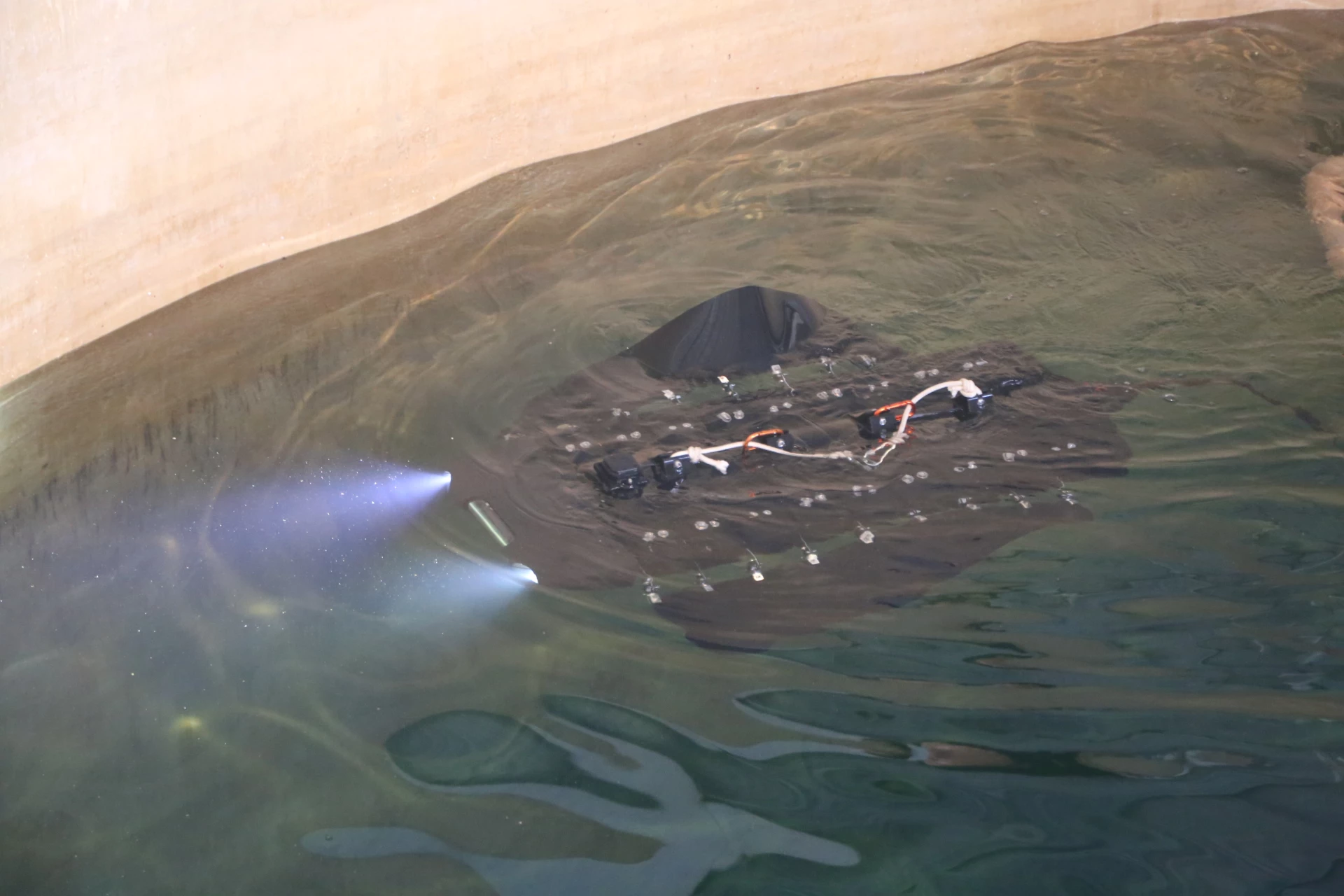 Thử nghiệm sản phẩm rô bốt phỏng sinh học dưới nước.