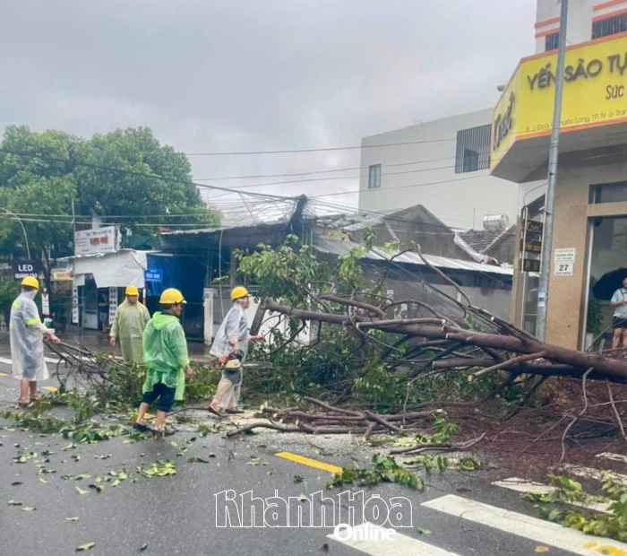 Nỗ lực xử lý các cây xanh bị bật gốc, gãy đổ khu vực Nha Trang