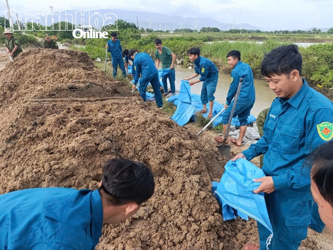 Ninh Hải huy động lực lượng chuẩn bị các bao đất đắp khu vực xung yếu.