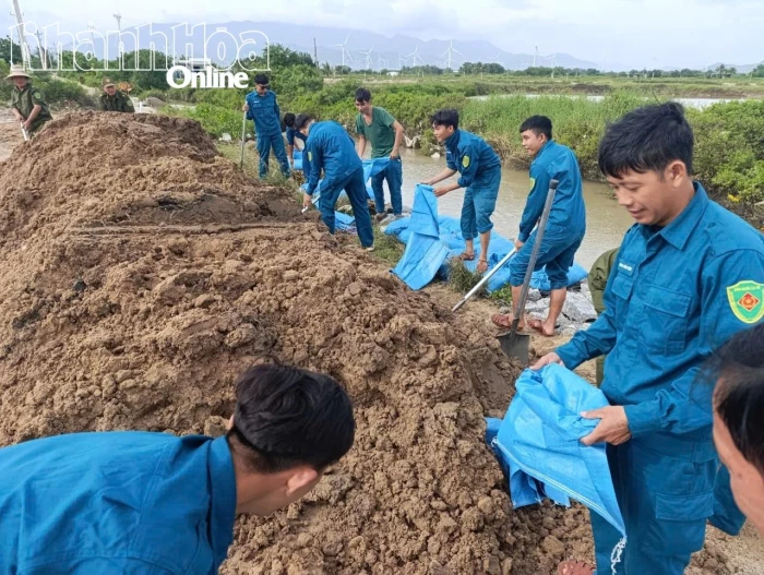 Xã Ninh Hải chủ động ứng phó bão số 15