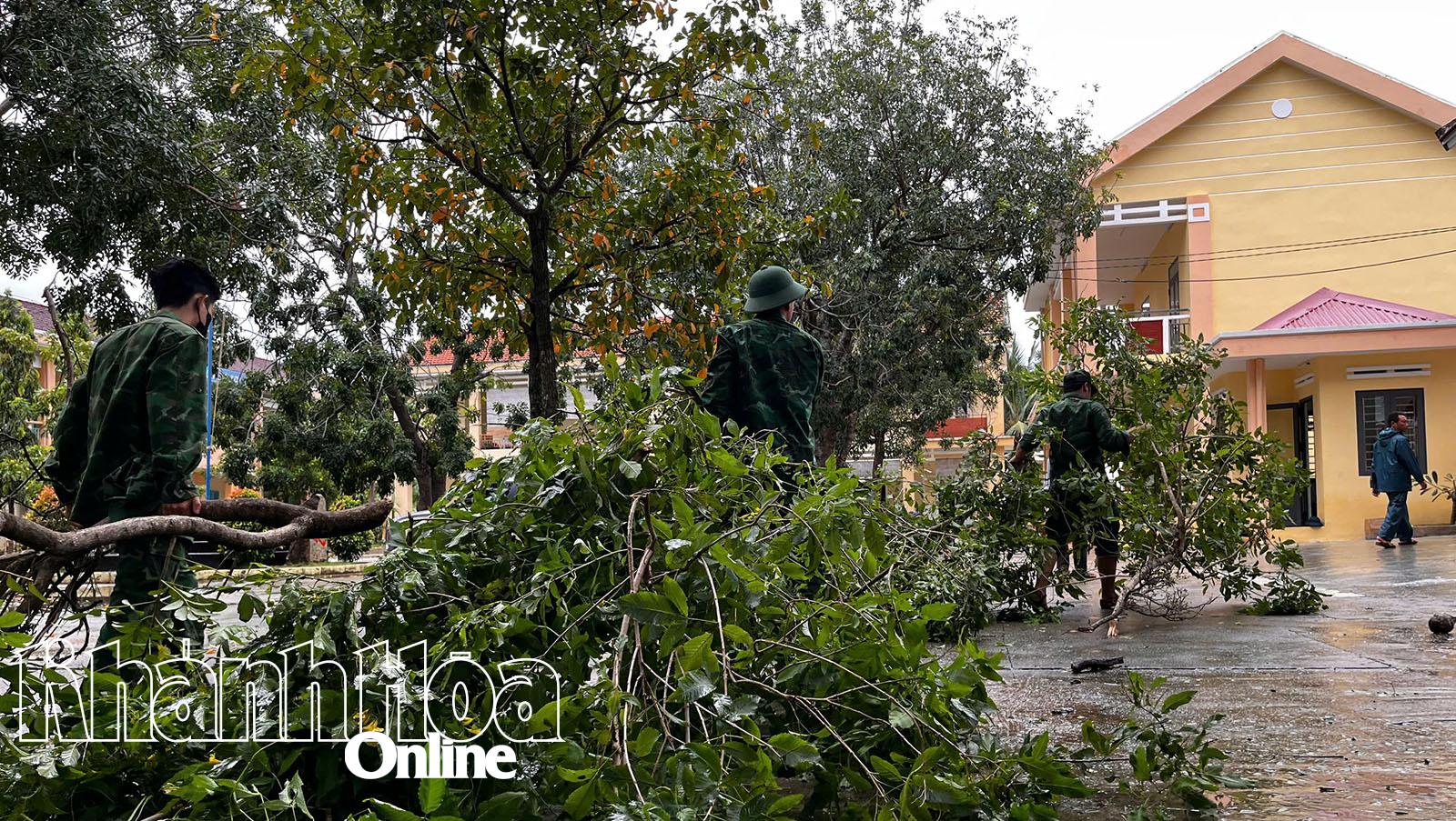 Nhiều cây bị gãy, đổ cũng nhanh chóng được lực lượng chức năng dọn dẹp