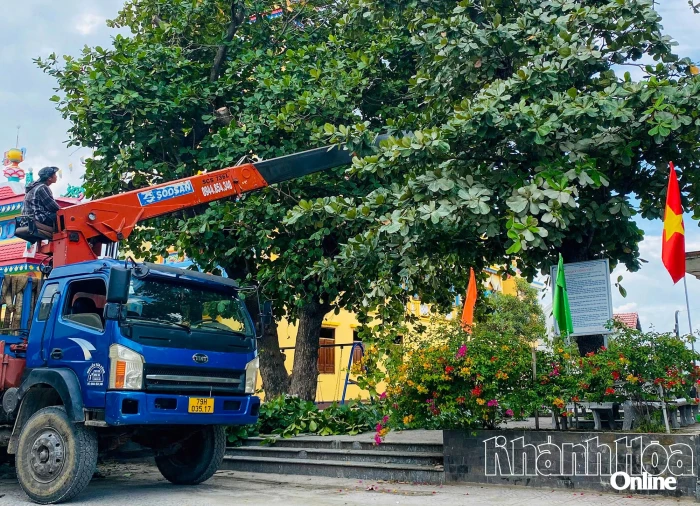 Phường Đông Ninh Hòa chủ động ứng phó với bão