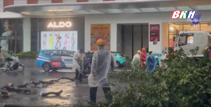 VIDEO: Chặt cây để đảm bảo an toàn lưu thông tại Nha Trang